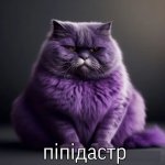 IMG_7654.jpeg