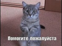 i (4).jpeg i (4).jpeg