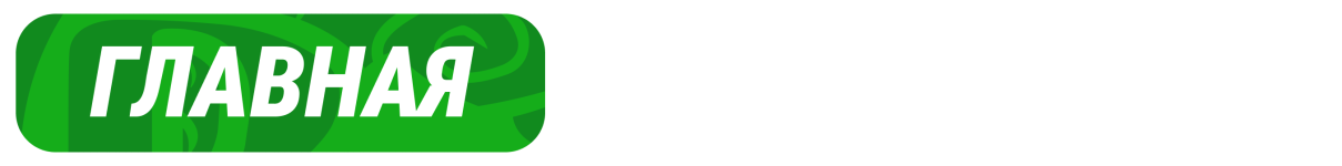 529.png 529.png
