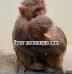 1740430444196.png