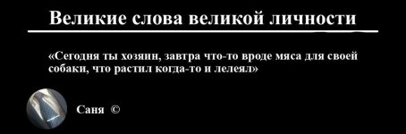 IMG_20250306_212354_000.jpg