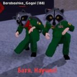 1741433528043.jpg