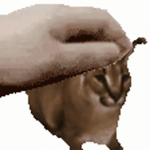 15883.gif
