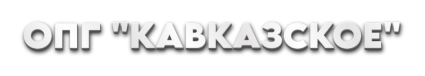 1000008136.png 1000008136.png