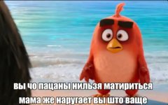 IMG_20260118_000901.jpg
