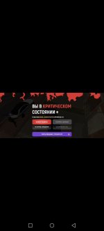 1000041671.jpg