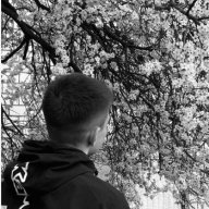 Damir_Crossy
