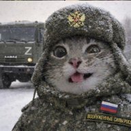 Vova_Vor