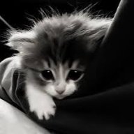 Kirill_Inory