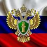 AIexander_Zavyalov