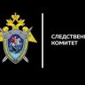Vladimir_Viskarev