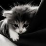 Kirill_Inory