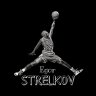 Egor_Strelkov