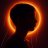 Artem_Wilti