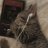Dmitriy_Verrg