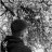 Damir_Crossy