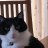 Tommy_Wilsons