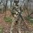 Artem_Goss