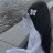 Santiago_Termis