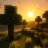 Amir_Staff
