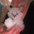 Dmitry_Laurent