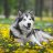 Bradford_Danya