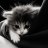 Kirill_Inory