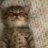 Alexandr_Wance