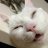 Maksim_Kejer